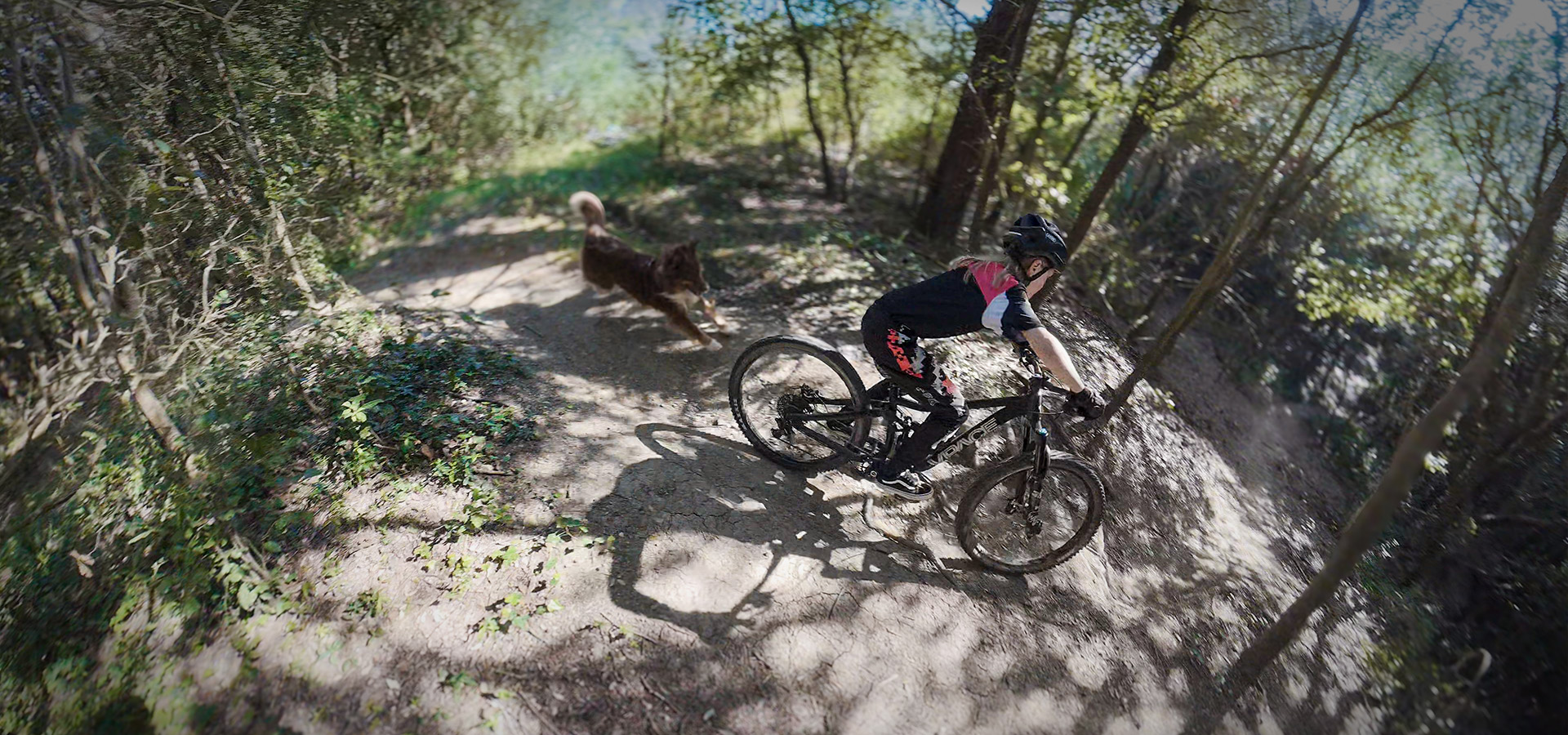 HOME_Team_v4 HOME_Team_v4